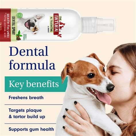 Noventis Natural Dental Spray Care 200 ml — Noventis Healthcare