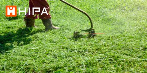 Image result for String Trimmer Basics