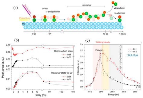 Condensed Matter | Special Issue : Experimental Ideas for Novel FEL ...