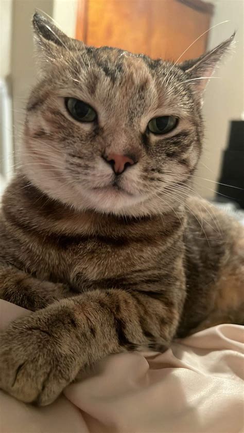 AIRPLANE EARS : r/airplaneears