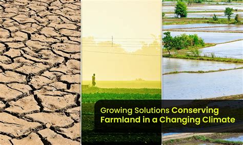 Growing Solutions Conserving Farmland in a Changing Climate