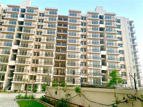 AVL 36 Rent / Sale Sector 36A, gurgaon