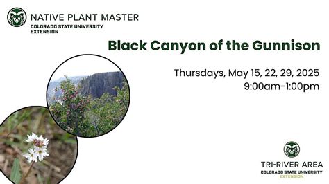2025 Colorado Native Plant Master: Black Canyon of the Gunnison, Black ...