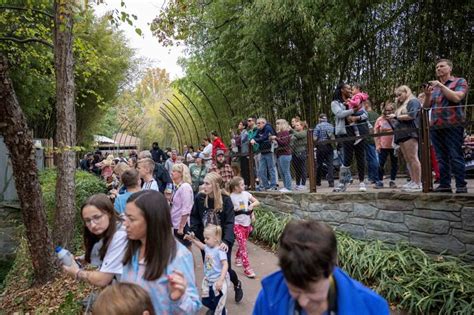 In pics | Thousands flock to Washington DC zoo to bid goodbye to giant ...