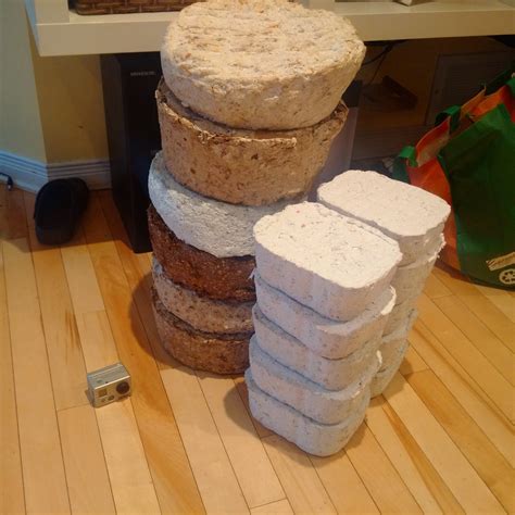 Image result for Using Paper Log Fire