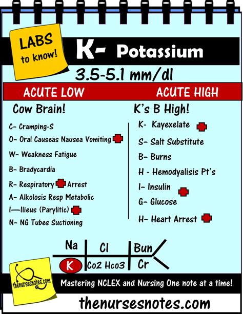 Potassium Test Lab Values at Norris Carrico blog
