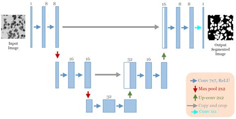Medical Image Segmentation Using Automatic Optimized U-Net Architecture ...