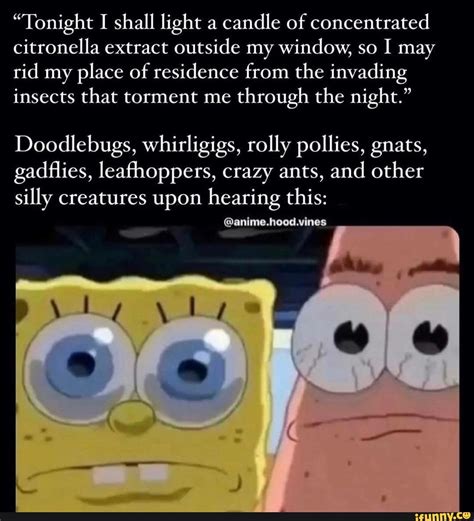 Gnats memes. Best Collection of funny Gnats pictures on iFunny