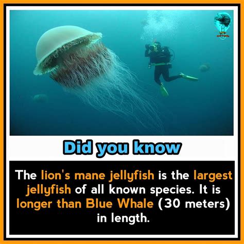 Pin by Aditri Singh on Fun facts | Amazing science facts, True ...