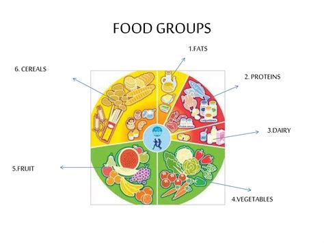 5 Food Groups Explained , The Eatwell Guide and Resources - RJUOJI