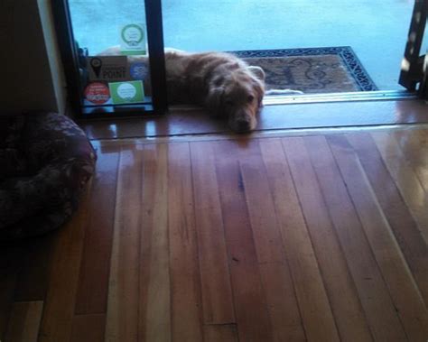 THE ROOSEVELT INN (North America/ID) - B&B Reviews & Photos - Tripadvisor