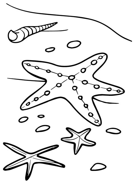 33 Starfish Coloring Pages - Free & Printable for Kids and Adults
