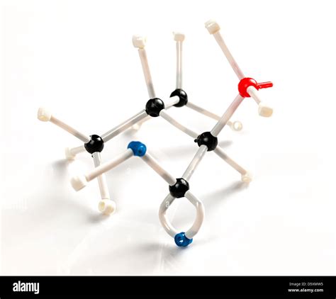 Valine Molecule