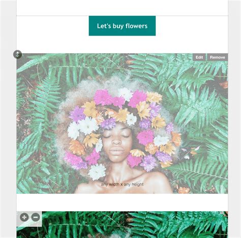 Image result for Using MailChimp Templates