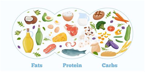 Image result for Macronutrients Graphics