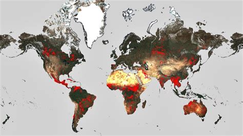 World Fire Atlas shows wildfires raging across the planet - India Today