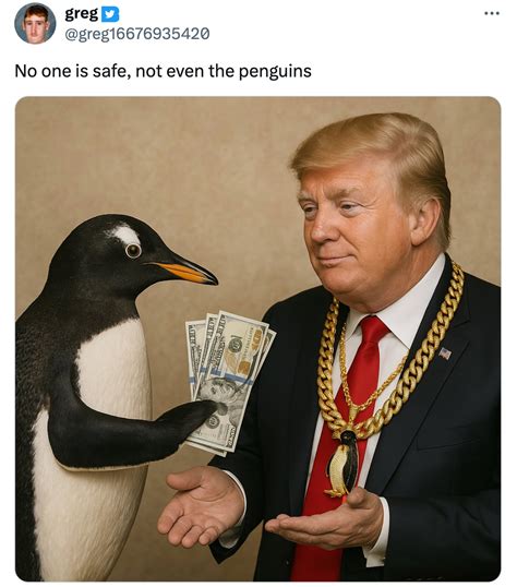 Trump tariffs inspire viral Penguin memes: 24 of the best