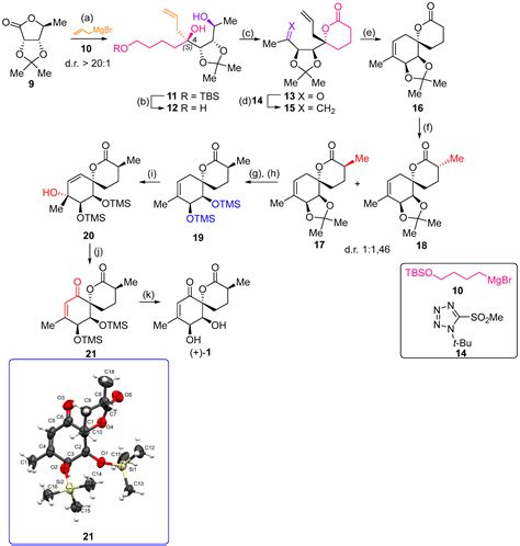Total Synthesis of (+)-Penicyclone A and Evaluation of Biological ...