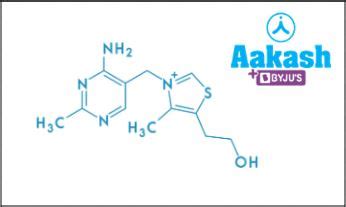 Vitamins: Roles, Types, Dietary Sources, Functions, Deficiency ...