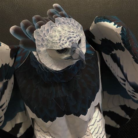 Harpy Eagle Paper Craft Body - 1/2オウギワシペーパークラフト胴体 | 紙鳥屋