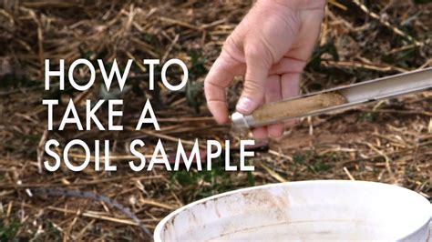 Image result for How to Take Soil Sample for Testing