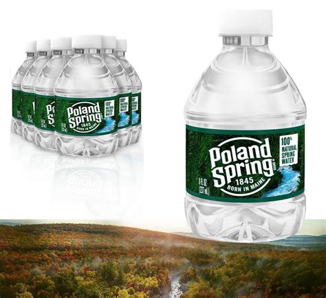 Amazon.com: Poland Spring Water Bottles 24 Pack - Small water bottles ...