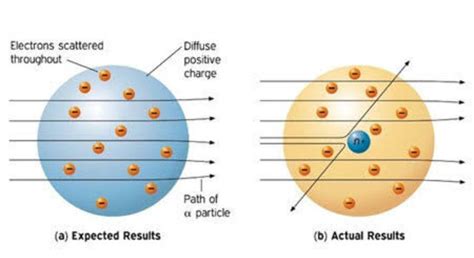 Rutherford nuclear model of atom class 11 - Brainly.in
