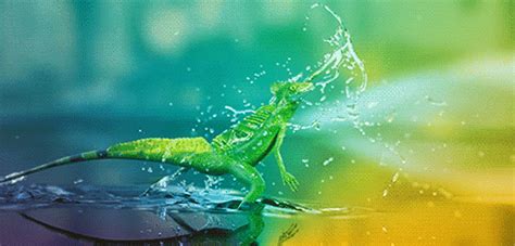 Image result for Lizard HTML Report Example