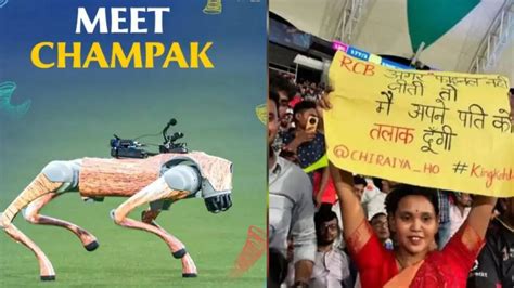 From Shreyas Iyer's 8 Sixes, 'Champak' To Woman’s Warning To Leave ...