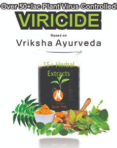 Viricide - 100% Herbal(Botanical) Viricide, Virucide & Antivirus for ...