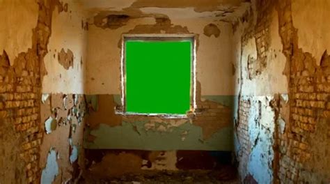 Image result for Green Screen Window Opening