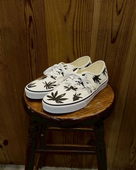 VANS Authentic MARSHMALLOW / BLACK | STEP AHEAD