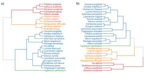 Diversity of the Seed Material of Selected Plant Species of Naturally ...