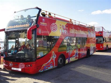 City Sightseeing Las Palmas de Gran Canaria - 2022 What to Know Before ...