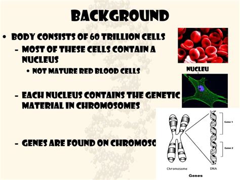 Image result for DNA Introduction