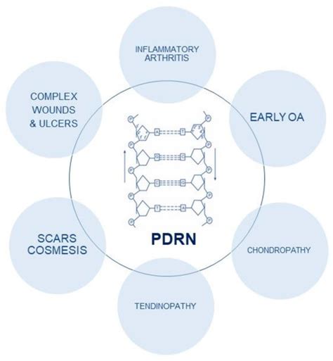 Polydeoxyribonucleotide in the Treatment of Tendon Disorders, from ...
