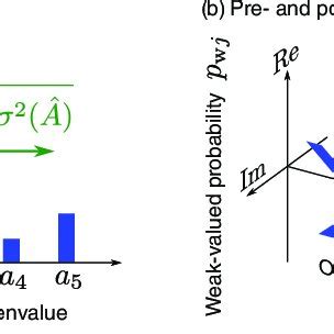 Projective Measurement 的图像结果