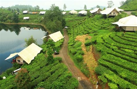 West Java 的图像结果