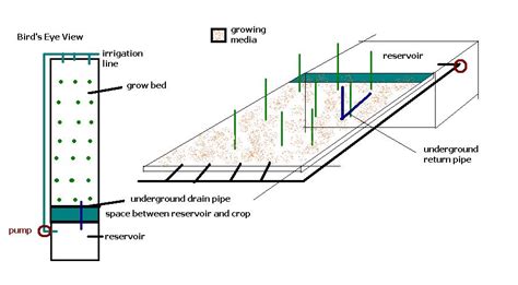 Image result for Hydroponic System Designs