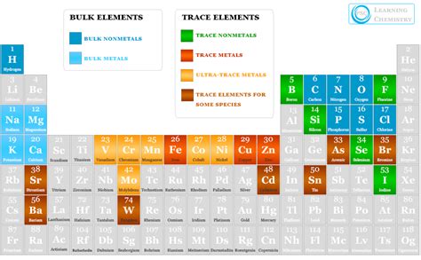 Essential Elements for Human Body | Study Chemistry