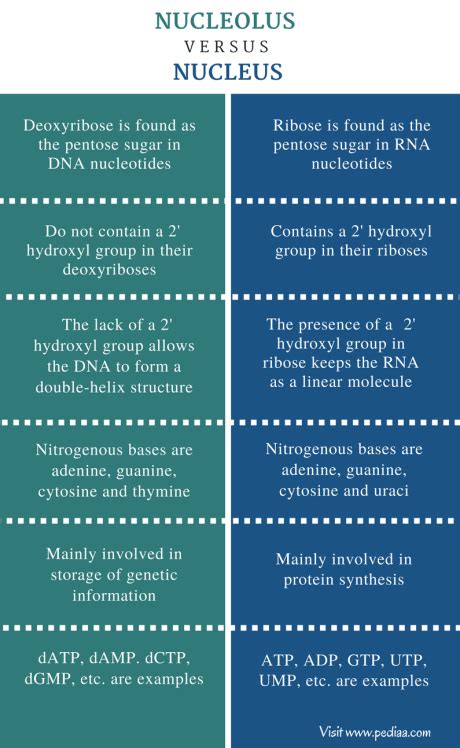 Image result for DNA Microarray Kit