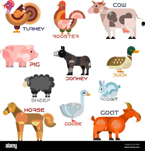 Livestock Animals List