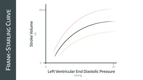 Pressure Waveforms and Cardiac Output