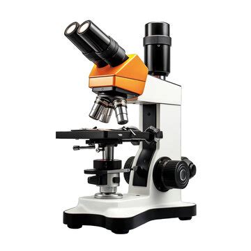 Image result for Compound Microscope PNG