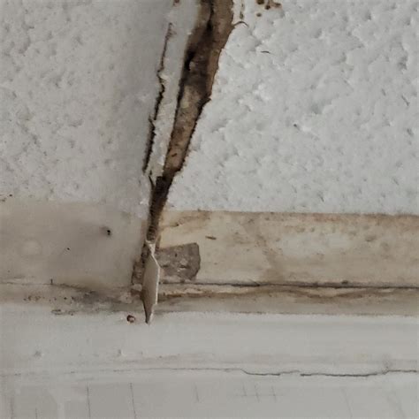 APPLETON RESORT (Nairobi) - Hotel Reviews & Photos - Tripadvisor