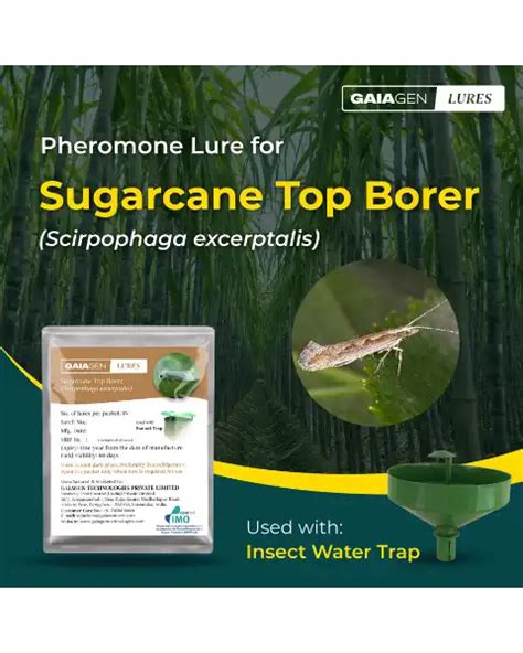 Buy Gaiagen Pheromone Lures For Sugarcane Top Borer @ ₹360 | BigHaat