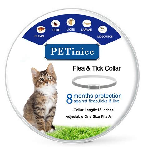 How To Use Cat Flea Collar at Phyllis Spain blog