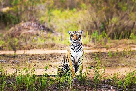 Holiday Packages from Leading Guwahati Tour Operator Travel Agent in ...