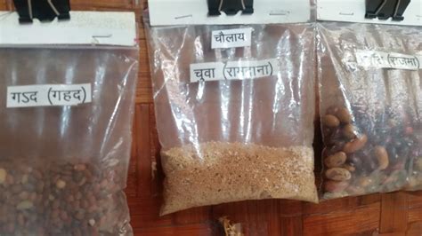 A Traveler’s Food Diary: Kumaoni Cuisine at Munsiyari | Foodaholix