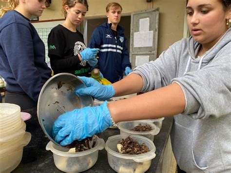 Journey to exploring Vietnam's biodiversity with 365 Travel - 365 Travel